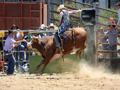 Jindabyne's Man From Snowy River Rodeo - New South Wales Tourism  2