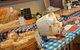 Junee Rotary Farmers Markets - thumb 1
