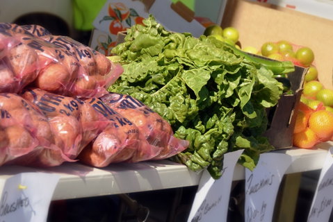 Junee Rotary Farmers Markets - New South Wales Tourism  2