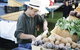 Kiewa Street Market - thumb 0
