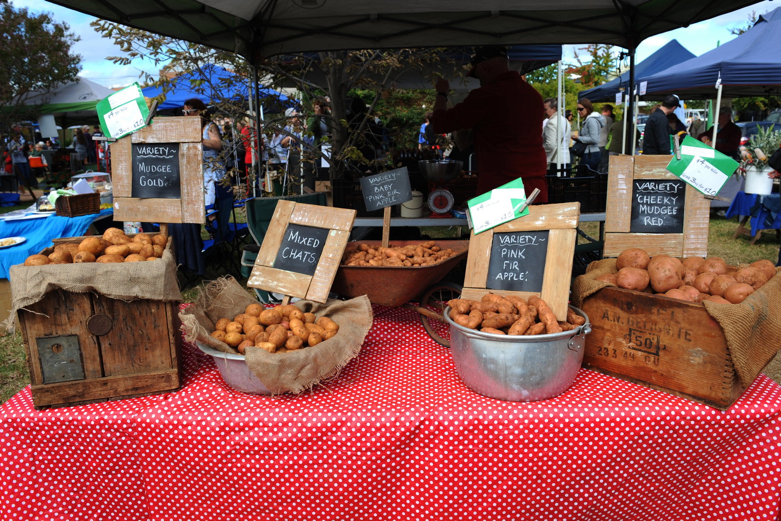 Mudgee NSW New South Wales Tourism 