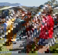 Lovedale Long Lunch - New South Wales Tourism 