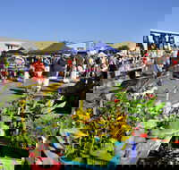 Maclean Community Monthly Markets - New South Wales Tourism 