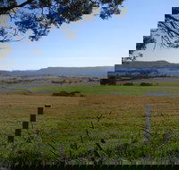 Milton Village Showground Markets - New South Wales Tourism 