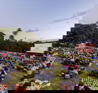 Moonlight Cinema - Sydney - New South Wales Tourism 