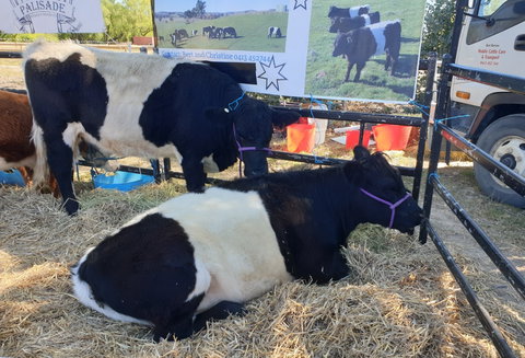 Murrumbateman Field Days - New South Wales Tourism  2