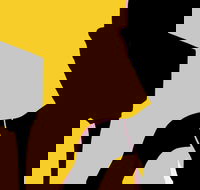 Naked Classics Fantastic Symphonies - New South Wales Tourism 