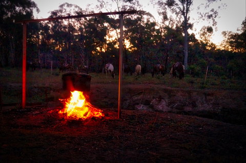 Night Horse Ride And Dinner - New South Wales Tourism  2
