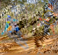 NSW State Downhill Mountain Bike Championships - New South Wales Tourism 