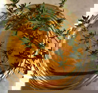 Online live streaming class DIY Skincare Products - New South Wales Tourism 