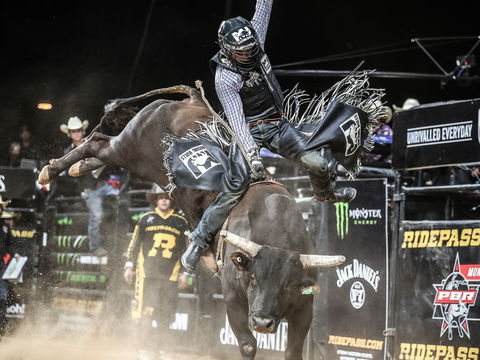 PBR Hawkesbury Stampede - New South Wales Tourism  0