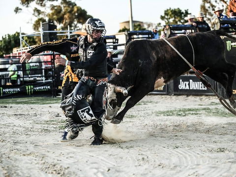 PBR Hawkesbury Stampede - New South Wales Tourism  2