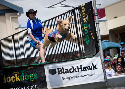 Perth Royal Show - New South Wales Tourism  2