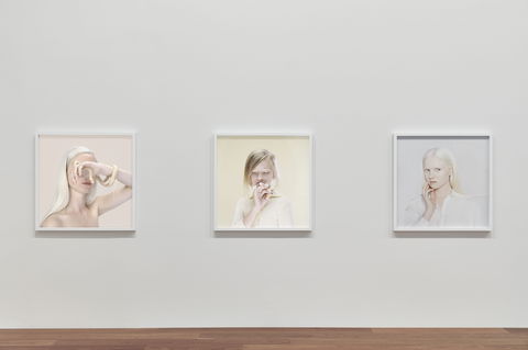 Petrina Hicks: Bleached Gothic Virtual Tour - New South Wales Tourism  0