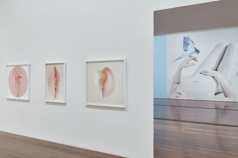 Petrina Hicks: Bleached Gothic Virtual Tour - New South Wales Tourism  1