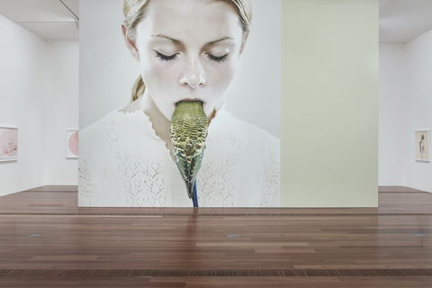 Petrina Hicks: Bleached Gothic Virtual Tour - New South Wales Tourism  2