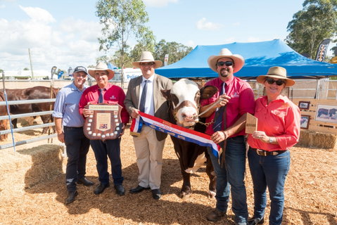 Primex Field Days - New South Wales Tourism  0
