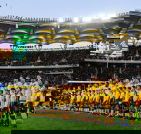 Rugby Championship Qantas Wallabies v Springboks - New South Wales Tourism 