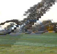 SculptureShaw - New South Wales Tourism 