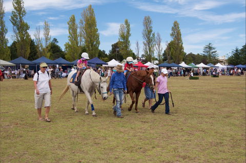 Seasons Of New England Expo - New South Wales Tourism  2