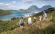 Spring Festival Of Lord Howe Island - thumb 1