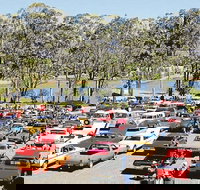 Spring Cruiz In - New South Wales Tourism 