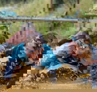 Suck It Up Buttercup Vikings Obstacle Course - New South Wales Tourism 