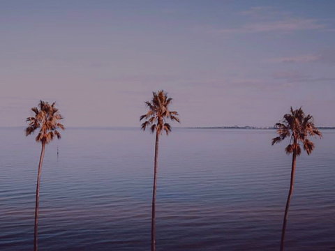 Sunset Streaming Live DJ Streams - New South Wales Tourism  0