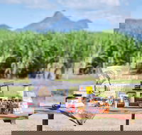 Taste Tweed - New South Wales Tourism 