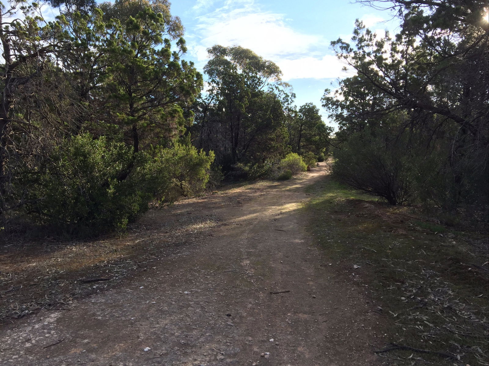  New South Wales Tourism 