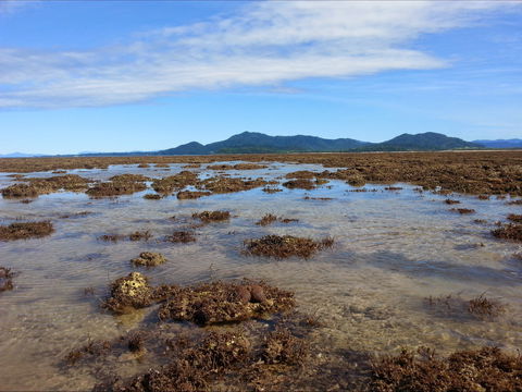 Walk To The Reef - New South Wales Tourism  0