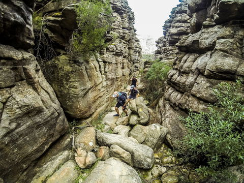 Wonderland Run - New South Wales Tourism  2
