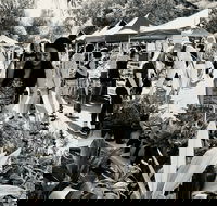 Yamba Farmers and Producers Market - New South Wales Tourism 