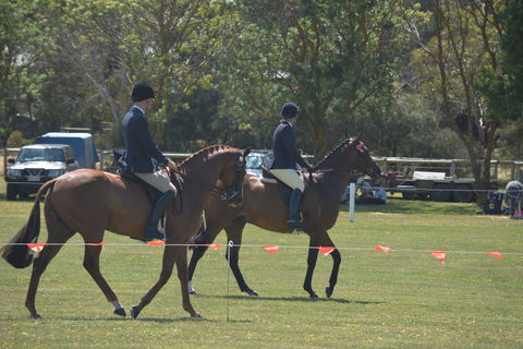 Yankalilla Show - New South Wales Tourism  2