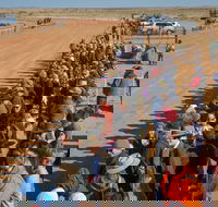28th Marree Australasian CAMEL CUP 3 July 2021 - New South Wales Tourism 