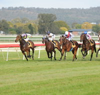 Aggies Race Day - New South Wales Tourism 