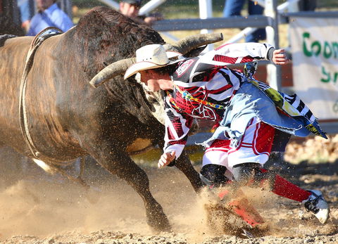 AgriWest Cooma Rodeo - New South Wales Tourism  2