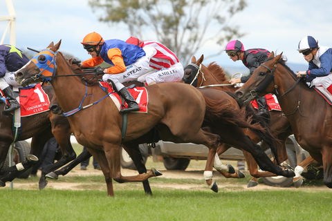 Albury Racing Club January Race Day - New South Wales Tourism  1