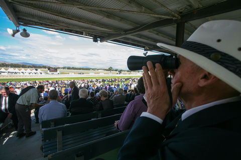 Albury Racing Club January Race Day - New South Wales Tourism  2