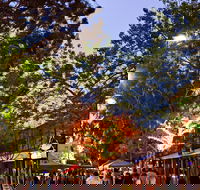 Alice Springs Town Council Night Markets - New South Wales Tourism 