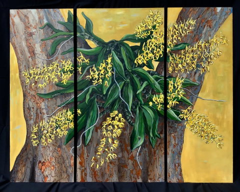 A Still Life - Solo Exhibition  Karen Sedaitis - New South Wales Tourism  1