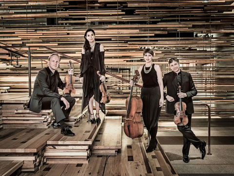 Australian String Quartet Plays Late Beethoven - New South Wales Tourism  2