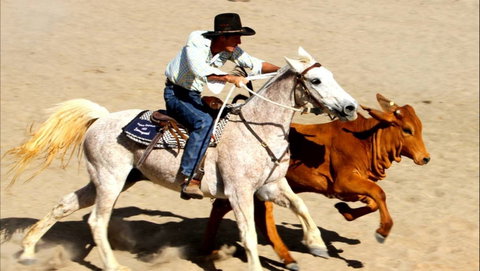 Bedourie Campdraft, Rodeo, Gymkhana - New South Wales Tourism  0