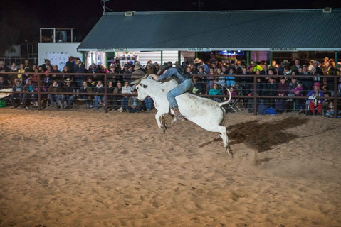Bedourie Campdraft, Rodeo, Gymkhana - New South Wales Tourism  1