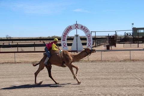 Bedourie Camel And Pig Races And Camp Oven Cook-off - New South Wales Tourism  0