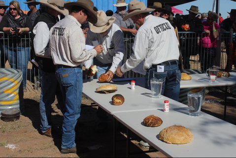Bedourie Camel And Pig Races And Camp Oven Cook-off - New South Wales Tourism  2