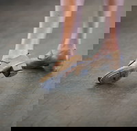 Beginner Tap Extended - New South Wales Tourism 