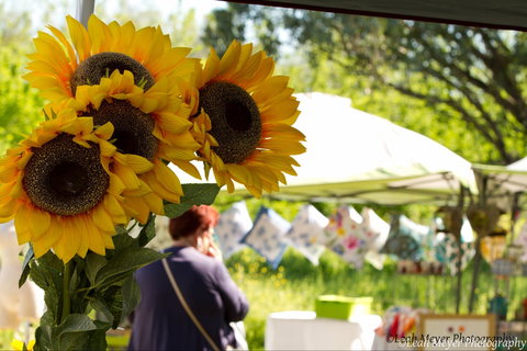 Blackville Arts And Market Day - New South Wales Tourism  0
