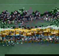 Bledisloe Cup Qantas Wallabies versus All Blacks - New South Wales Tourism 
