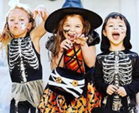 Boo! At The Zoo! - New South Wales Tourism  2
